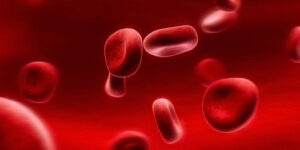 Визначення групи крові та резус-фактора