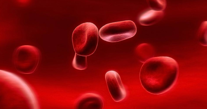 Визначення групи крові та резус-фактора