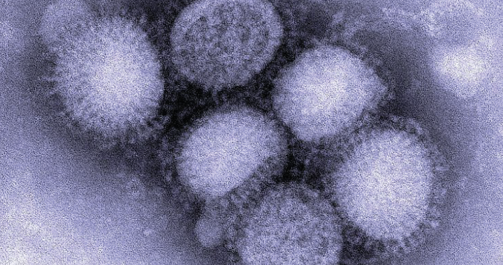 вірус грипу