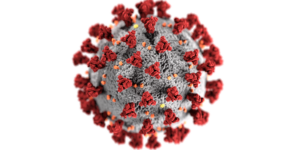 Штаммы коронавируса: их распространение и опасность