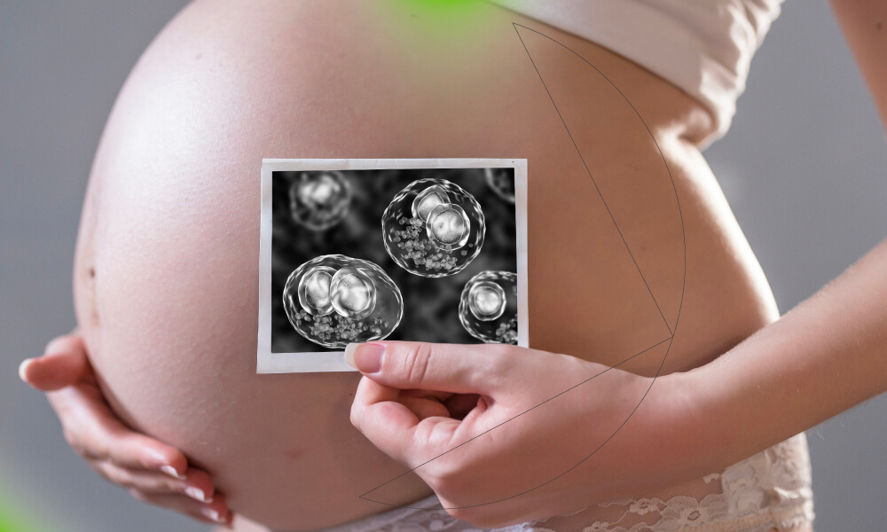Цитомегаловірус у вагітних