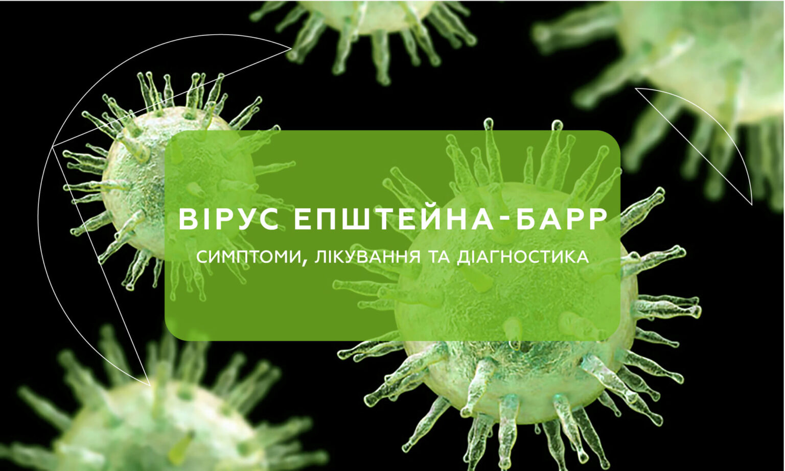 Вирус Эпштейна-Барр: симптомы, лечение и диагностика - ТОВ «Бiокор ...